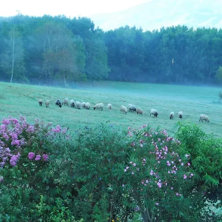 Le Cocon Сasa de vacaciones *