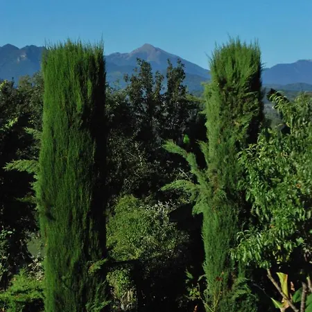 Le Cocon Сasa de vacaciones *