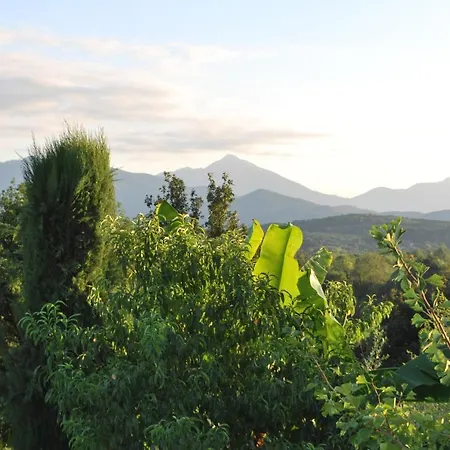 Le Cocon Salies-du-Salat