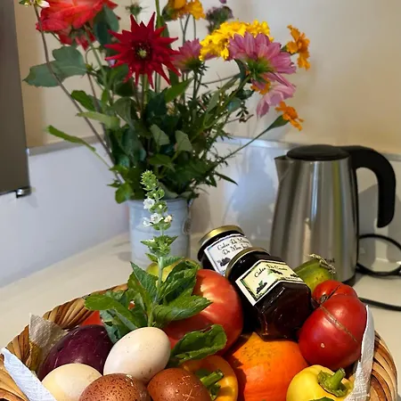 Le Cocon Salies-du-Salat