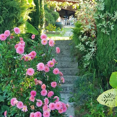 Le Cocon Salies-du-Salat