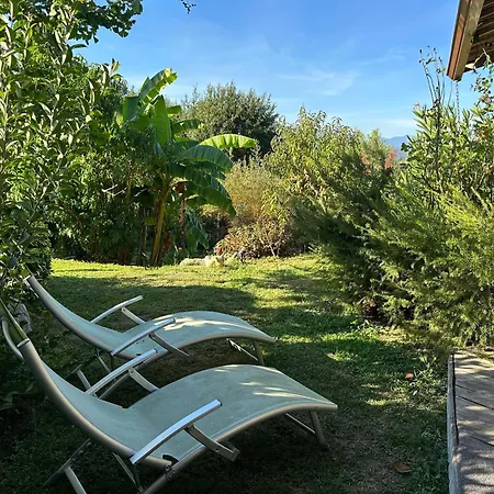 Сasa de vacaciones Le Cocon *