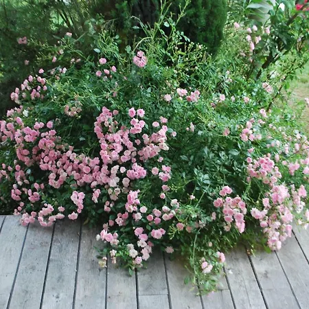 Le Cocon Сasa de vacaciones