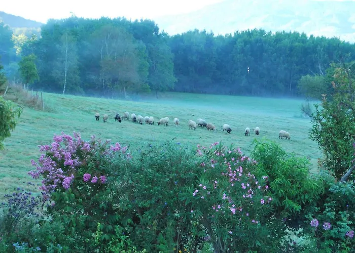 Le Cocon Дом отдыха *