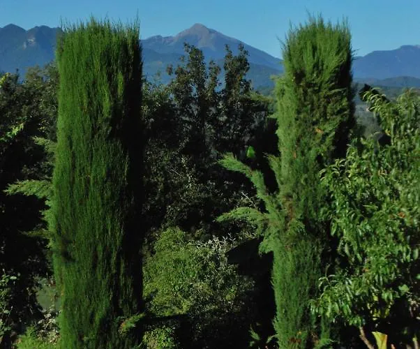 Le Cocon Дом отдыха *