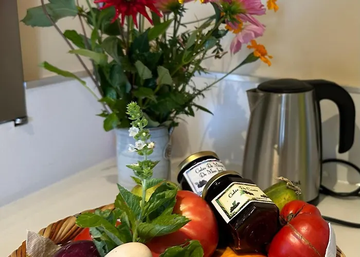 Le Cocon Salies-du-Salat