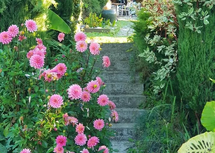 Le Cocon Salies-du-Salat