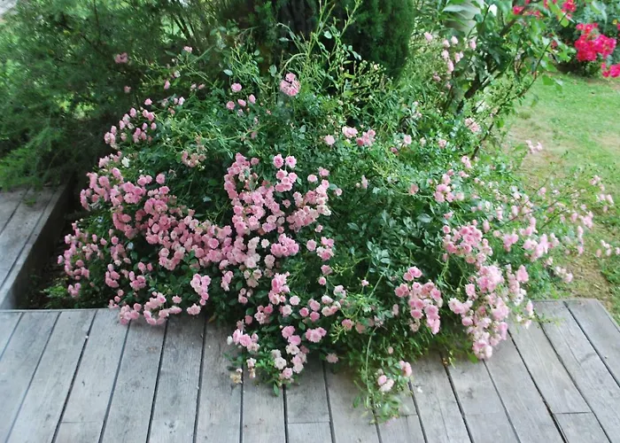 Le Cocon Дом отдыха